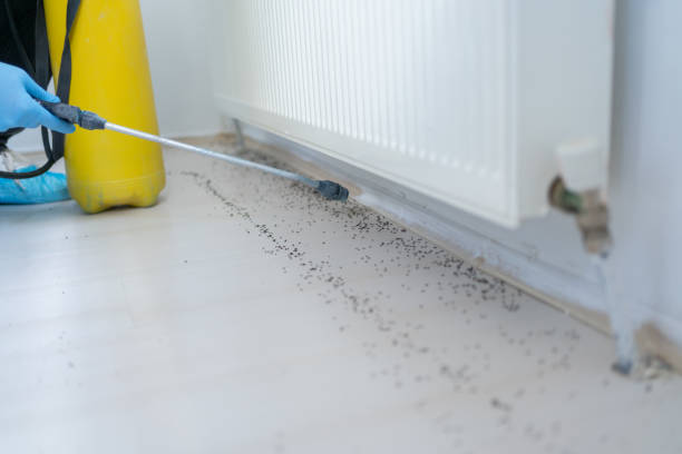Best Residential Pest Control  in Gilmer, TX