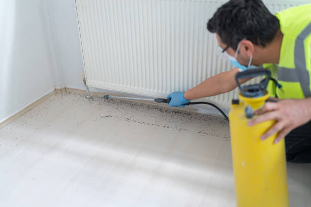 Best Pest Control Treatment  in Gilmer, TX